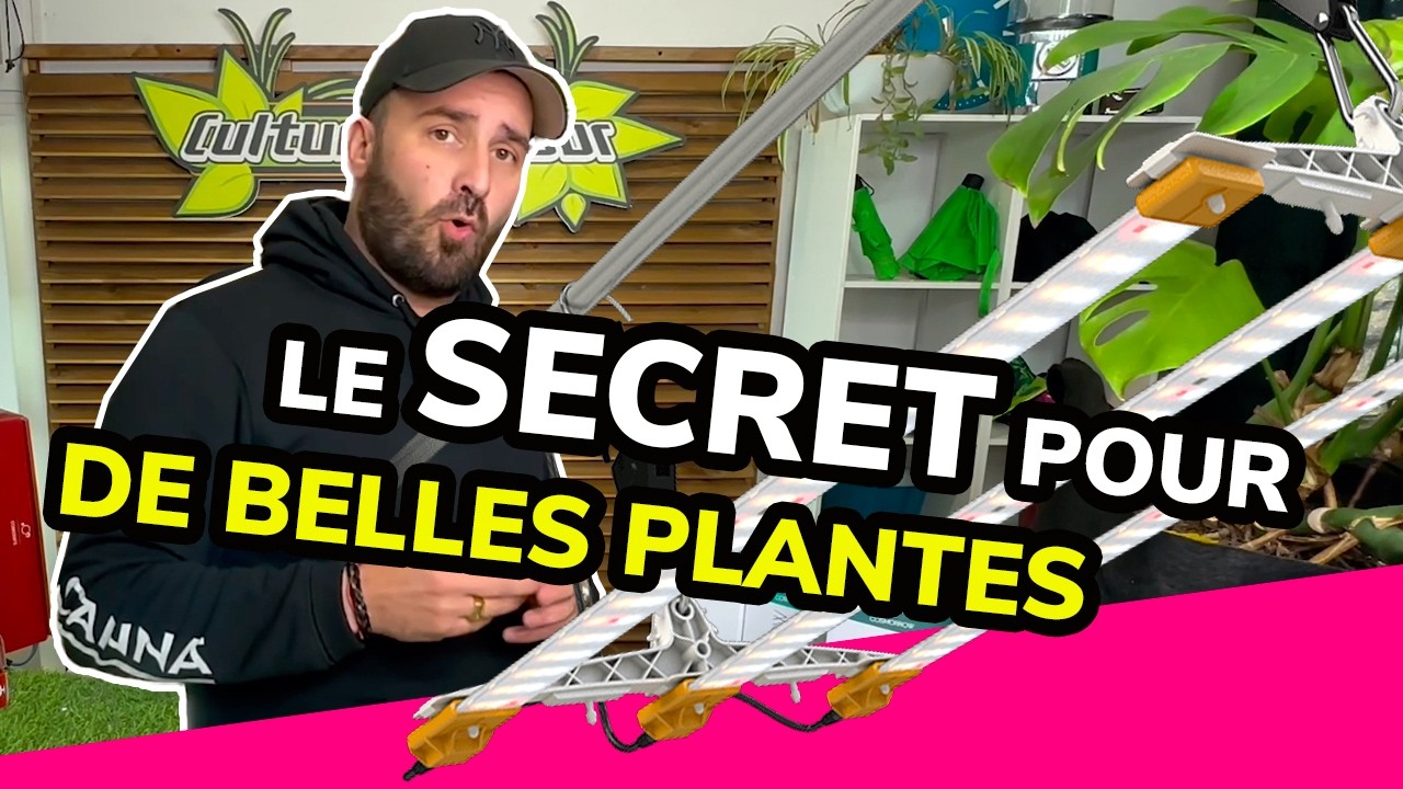 Le SECRET pour des r&eacute;coltes PARFAITES : Cosmorrow 20W de Secret Jardin !