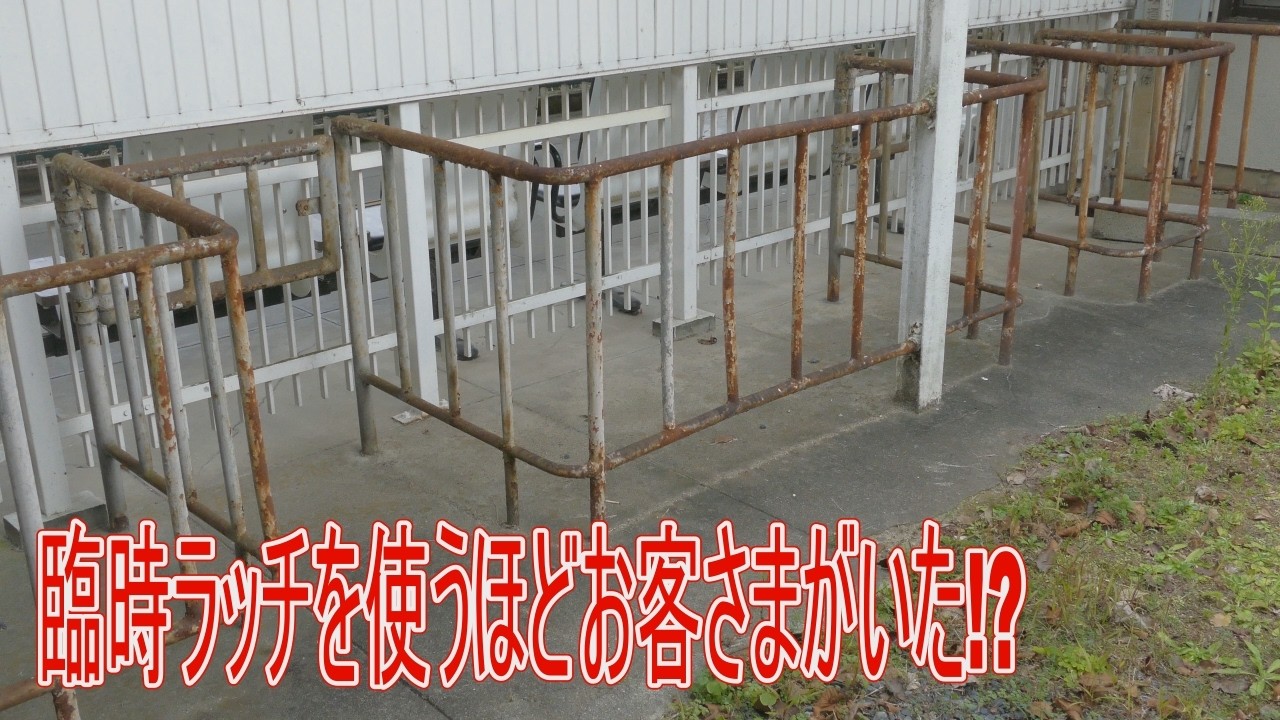【駅に行って来た】JR西日本関西本線笠置駅、昔は臨時改札口が要るほど混雑していた？？