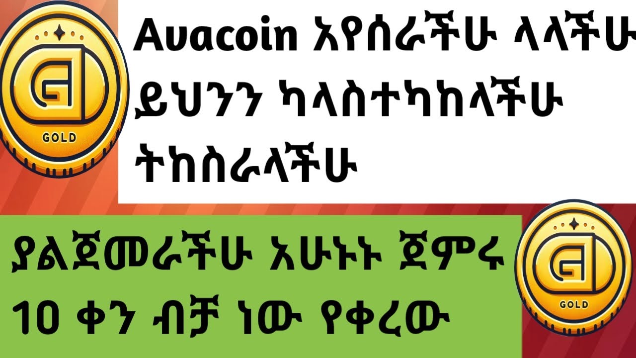 avacoin ላይ ይህንን ግዴታ ማስተካከል አለባችሁ ኢሊጄብል ለመሆን_avacoin_pixel verse_hamster