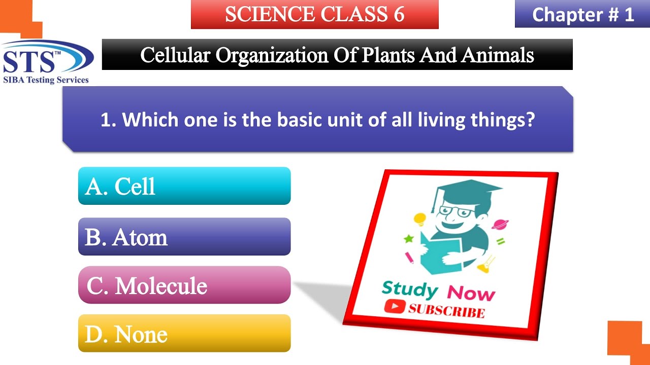 Science Class 6 Chapter 1| Plant And Animal cell |  Sindh Text Book Board  | Study Now