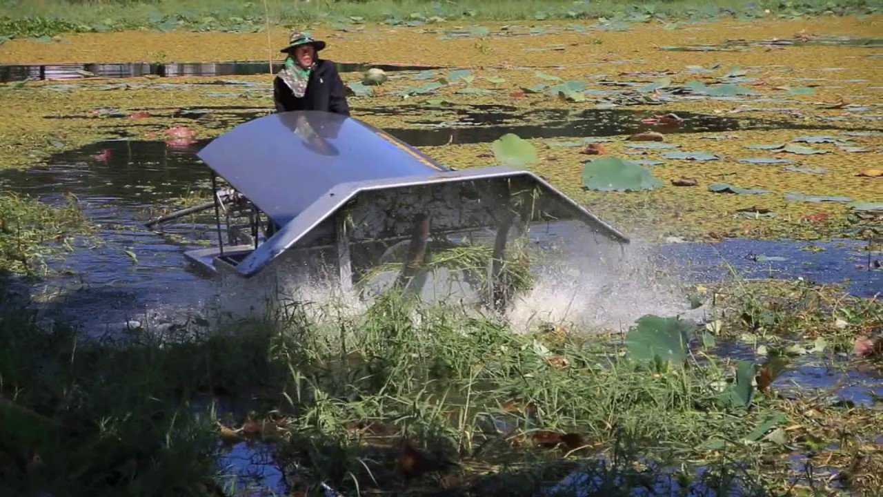 วีดีโอสาธิต เรือกำจัดวัชพืช ณ หนองนารี จ เพชรบูรณ์