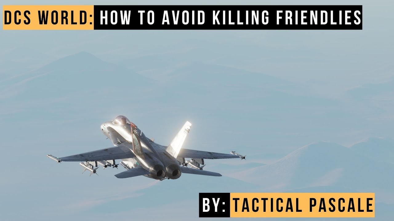 DCS WORLD | How to avoid killing friendlies