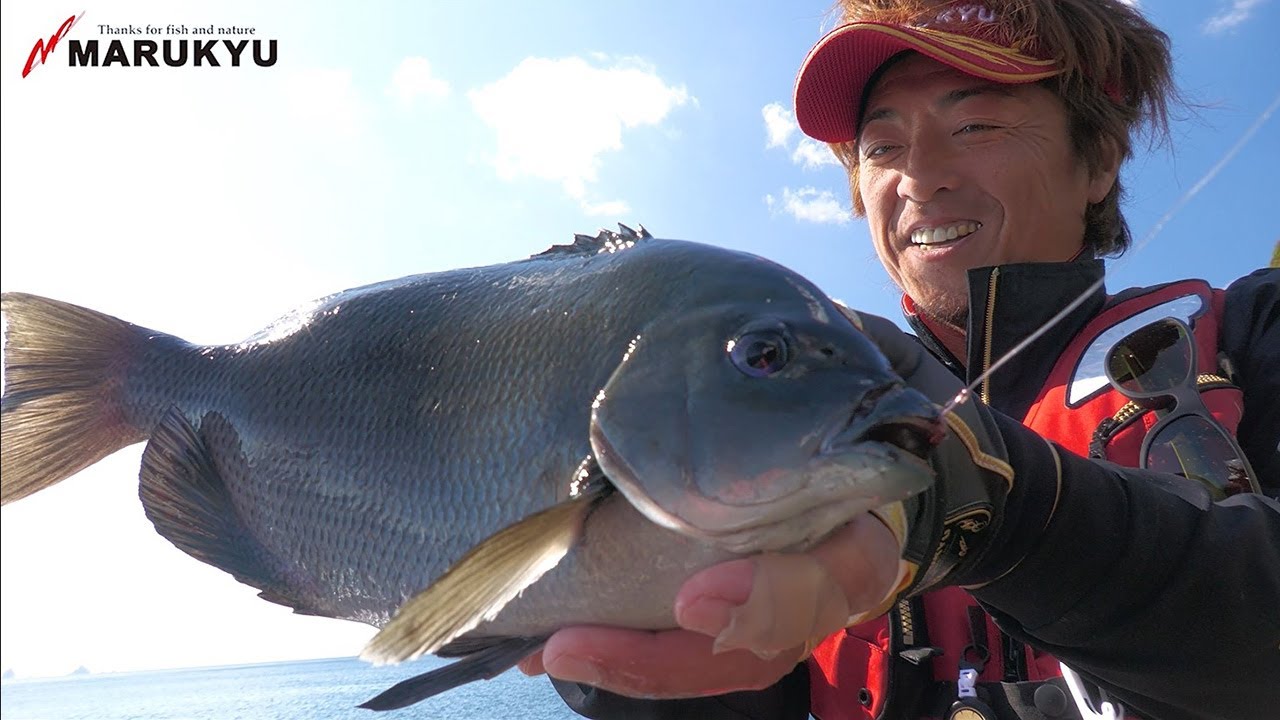威力！伝統の配合餌がパワーアップ！初冬の日振島、平和卓也 グレのサイズアップ戦術