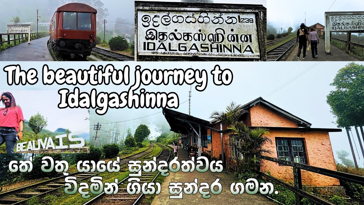 The beautiful journey to Idalgashinna. | Beauvais තේ වතු යායේ සුන්දරත්වය විදමින් ගියා සුන්දර ගමන.