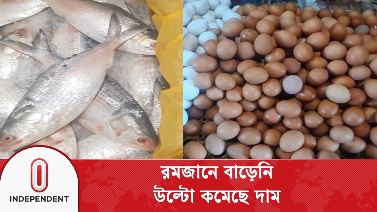 কোনো প্রশাসনিক তদারকি ছাড়াই কমেছে মাছ ও ডিমের দাম | Fish-Egg Price | Independent TV