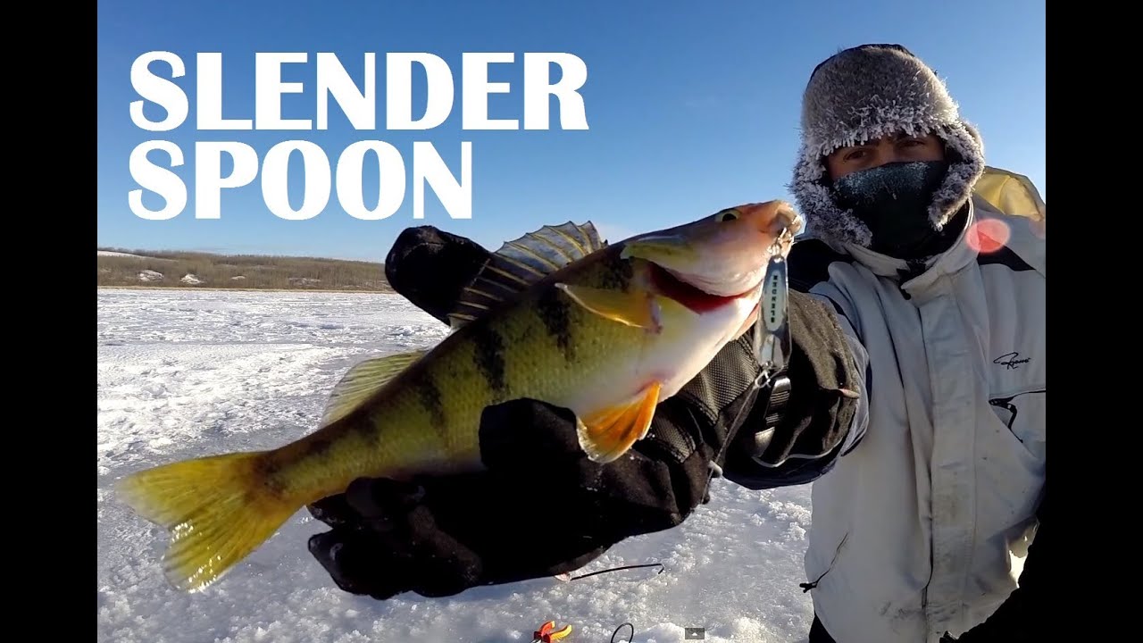Slender Spoon Ice Fishing Jumbo Perch