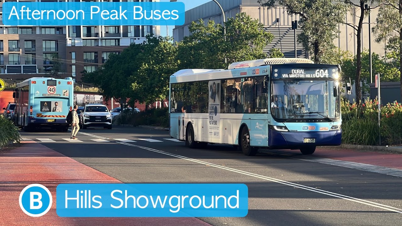 Transport for Sydney Vlog 1096: Hills Showground - Afternoon Peak Buses