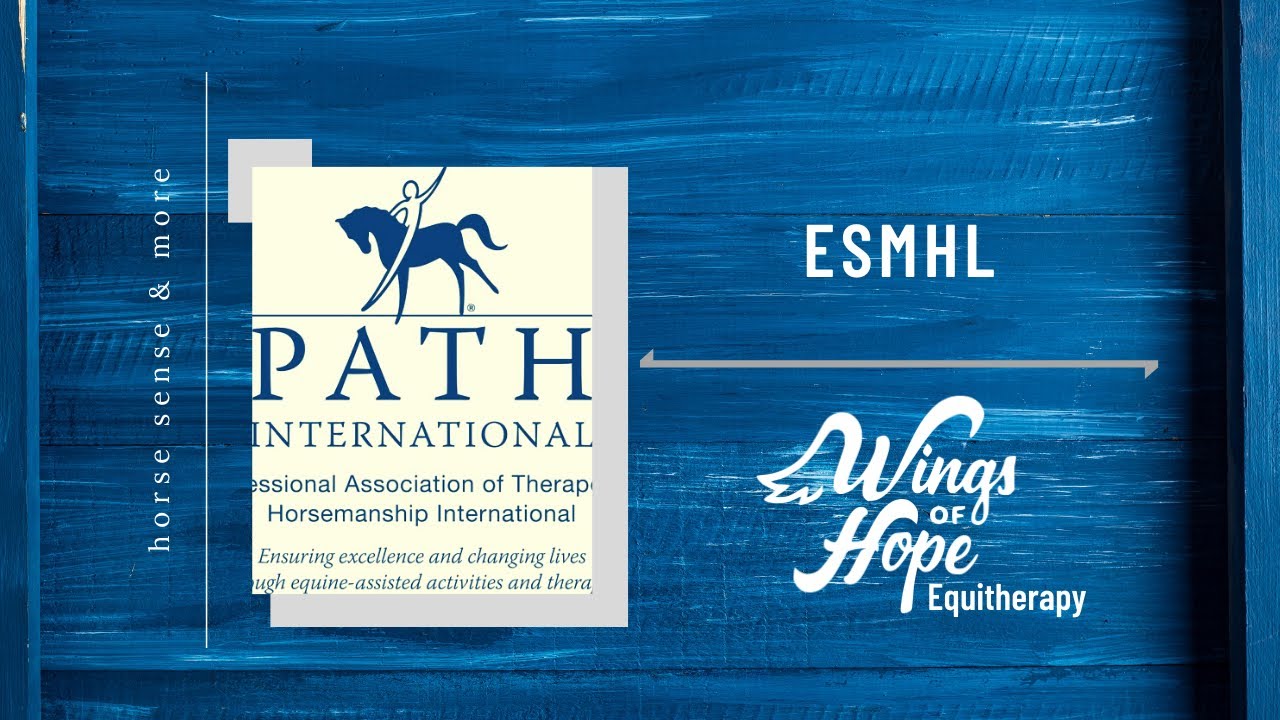 Stable Snippets: Equine Specialist in Mental Health & Learning