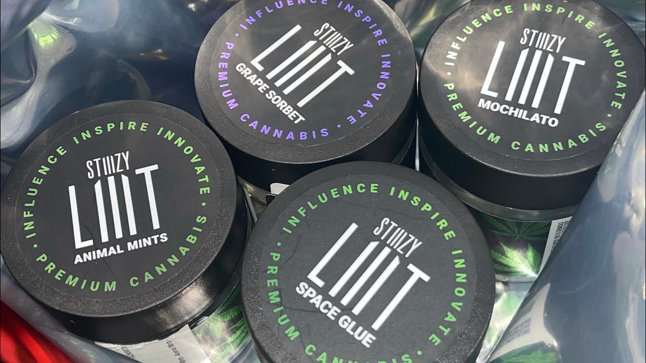 I Visited The STIIIZY Dispensary..