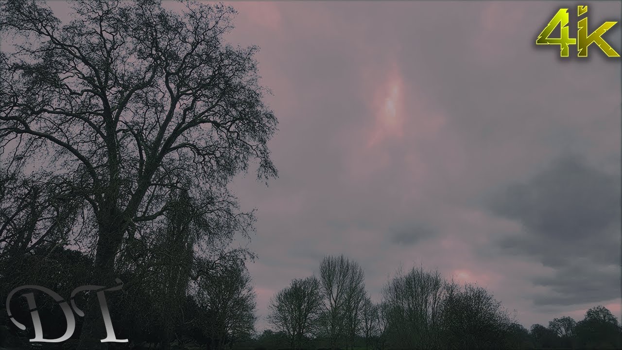 ​4K London Nature Walk: Relaxing Evening Atmosphere & Bird Sounds & #asmr (54 Mins)