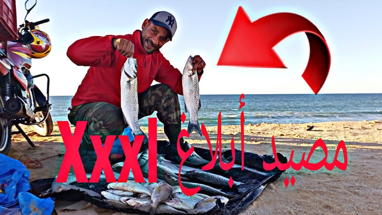 أفضل مصيد الاسماك Xxl 🤔 بالكيلميتر أبلاغ العملاق #فراجة#إستفاذة #معلومة #dakhla