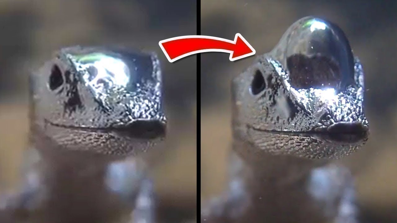 Things You Will See for the First Time in Your Life - Part 31