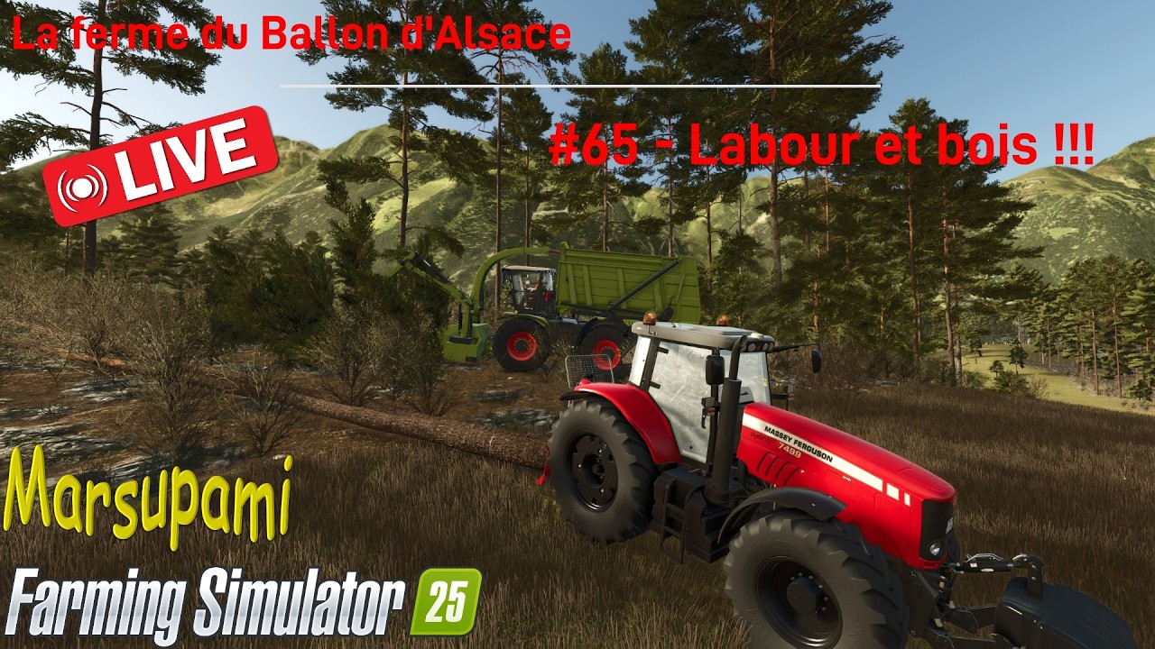 La Ferme du Ballon d'Alsace - #65 - Labour et bois !!!