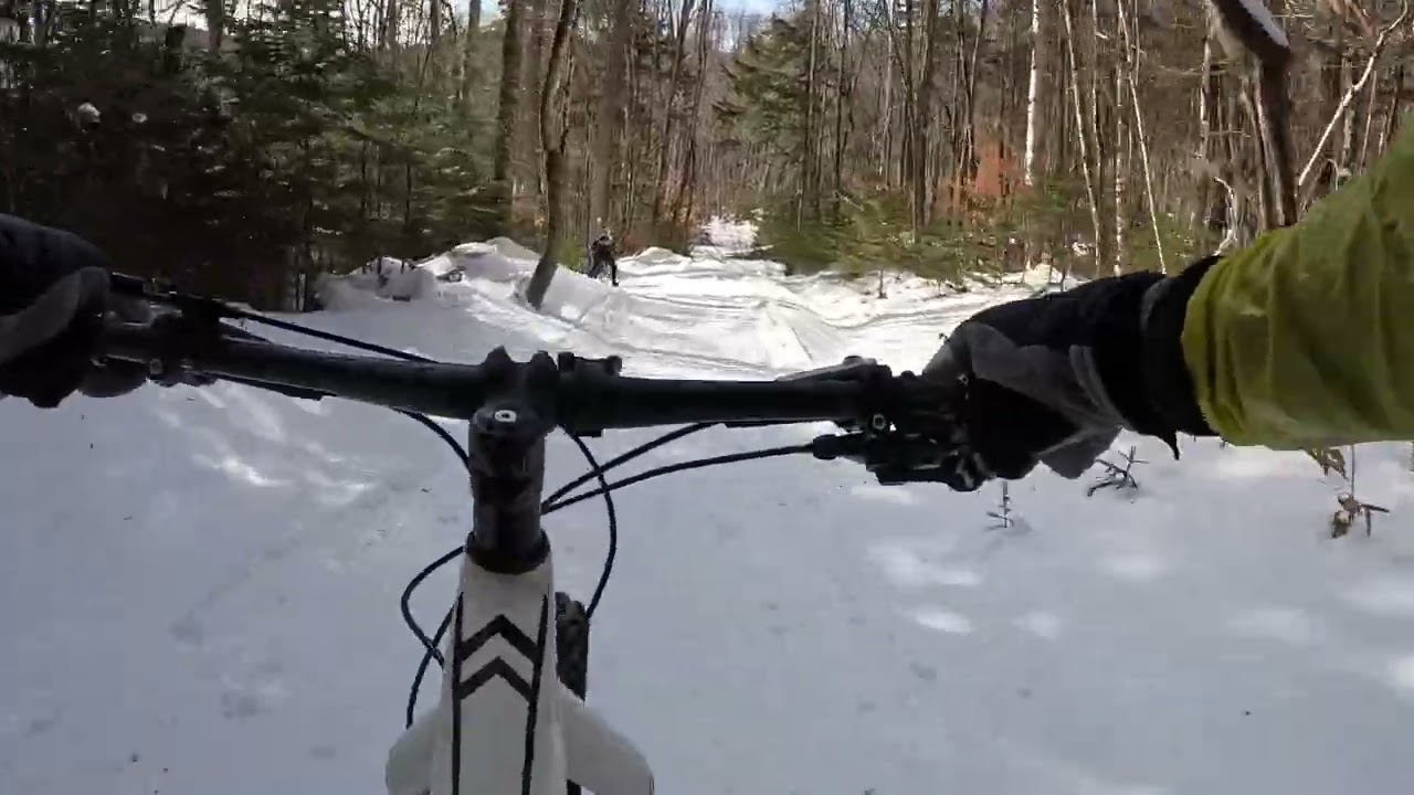Newton's on Snow