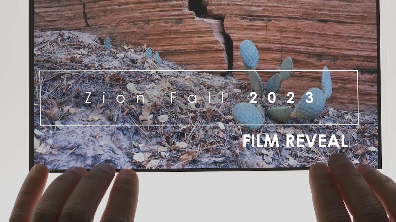 Zion Fall 2023: Film Reveal (Large Format Landscape Photography)