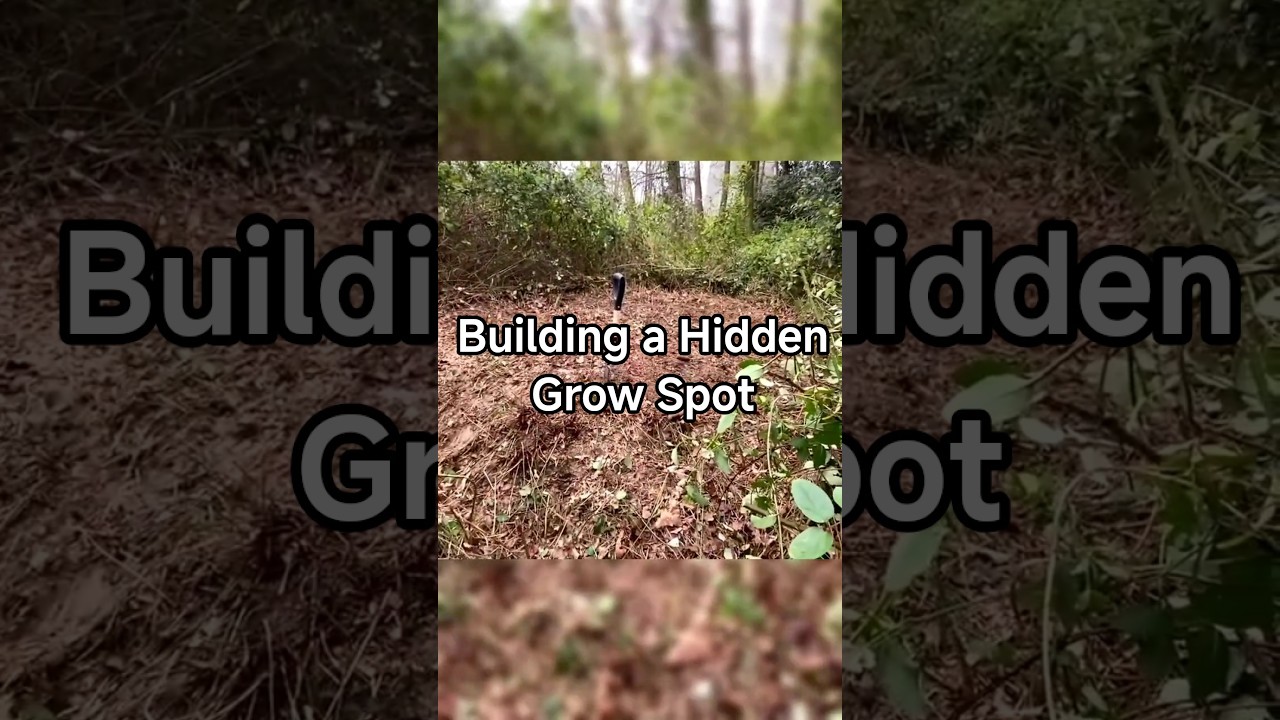 Building a Hidden Grow Spot | Site Prep & Soil Life 🪱🌿
