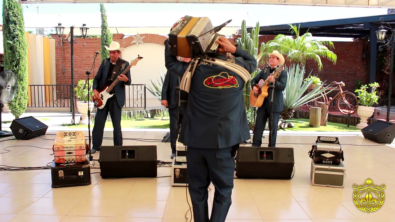 Los Llaneros de Guamuchil-La Canelera (Video Oficial)