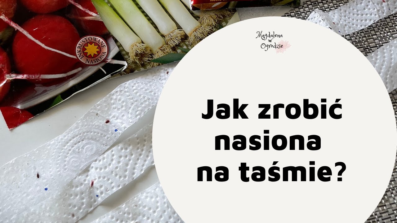 Jak samemu przygotować NASIONA NA TAŚMIE krok po kroku? Tani i łatwy sposób
