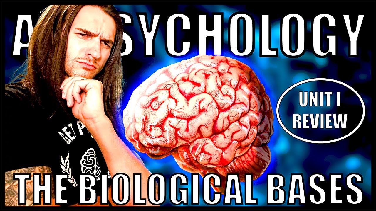 AP Psychology | Unit 1 Biological Bases of Behavior (Updated for 2024 Course Changes)