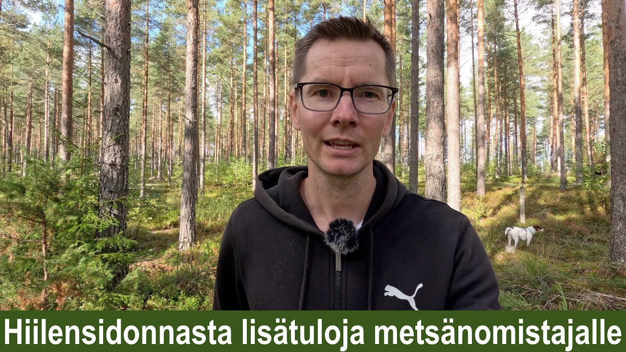 Hiilensidonnasta lisätuloja metsänomistajalle?