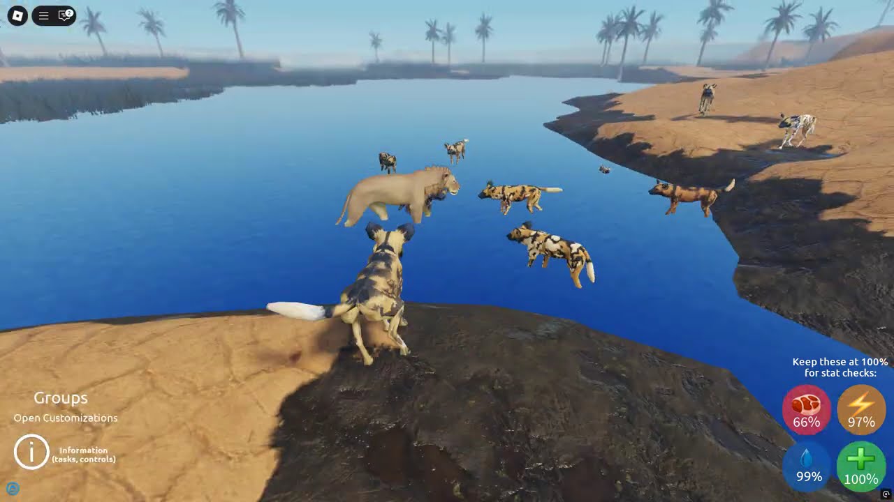 Wild dog pack vs subadult Male Lion [ Mosaic Survival ]