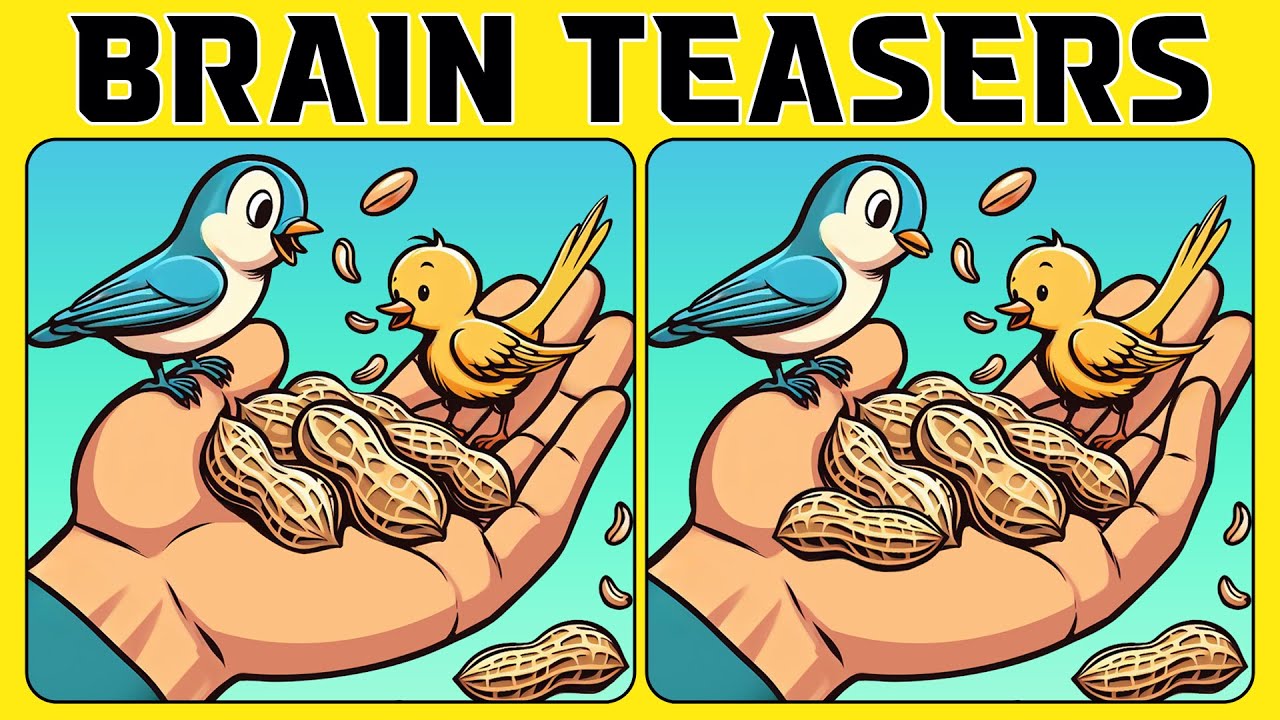 🧠🧩Spot the Difference | Boost Your Brain 《NORMAL》