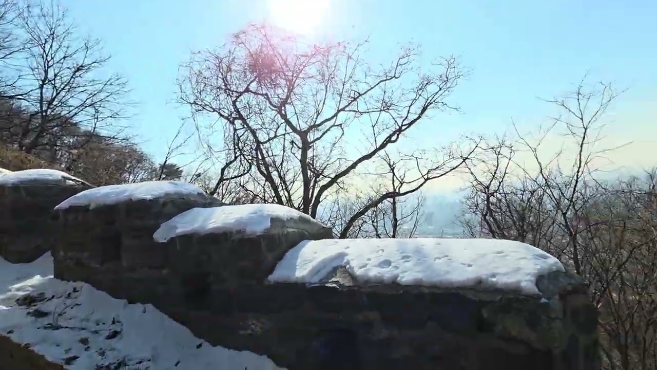 입춘 전날 서울 남산 하산길 풍경(2026.2.3)오후 2시 쯤