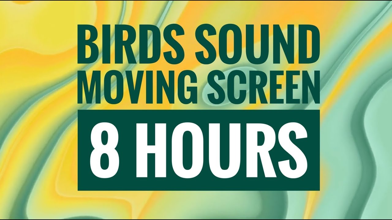 Melodic Serenade: 8 Hours of Evening Bird Songs for Relaxation and Blissful Ambience