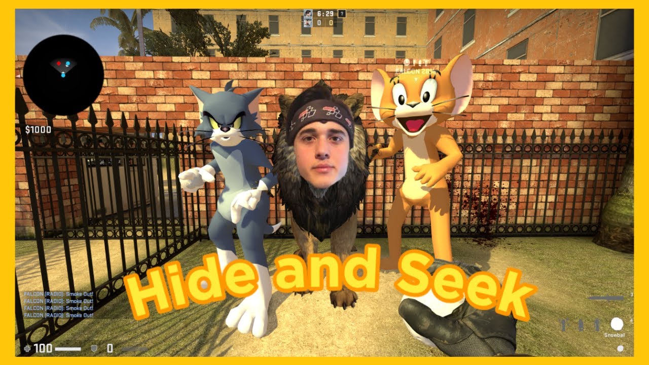 Hide and Seek - Tommy and Jerry ❓ CS:GO