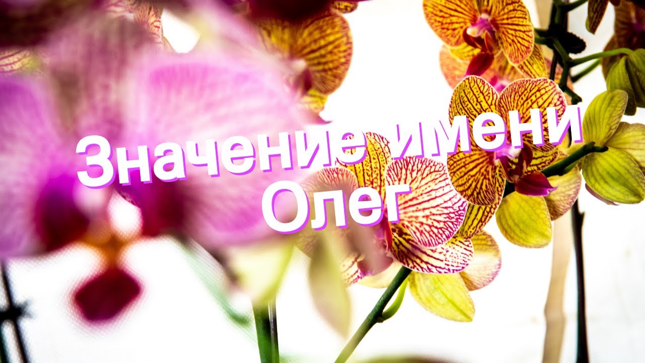 Значение имени Олег. Толкование, судьба, характер