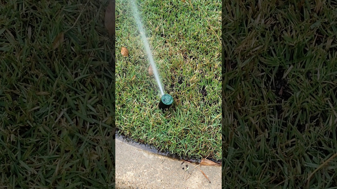 Sprinkler system walk thru 💦 Autumn season sprinkler system tune up 🍁 #101 #satisfying #nature #2024