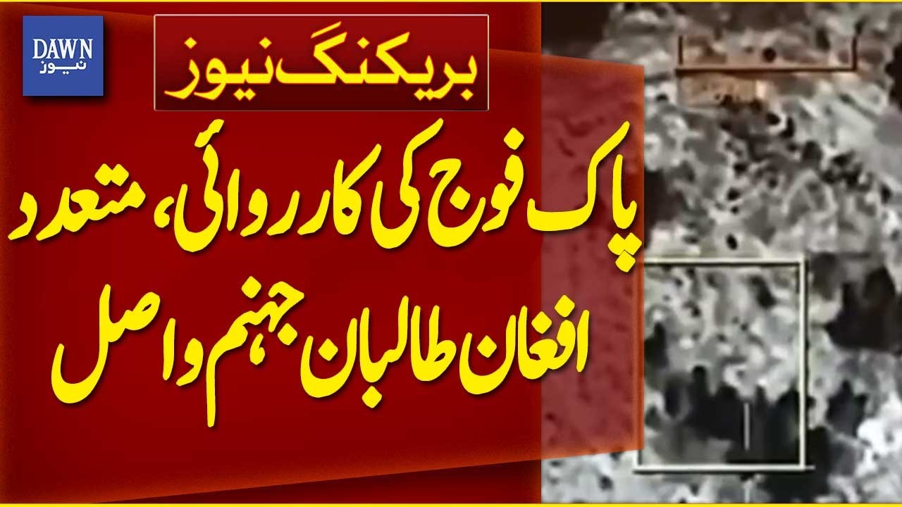 Several Afghan Taliban Killed in Forces Operation, Several Fronts Destroyed | Breaking News