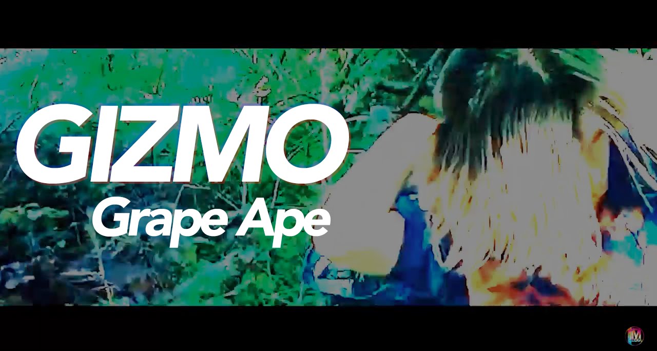Gizmo - Grape Ape (Dir. by  @icecastleunderground )