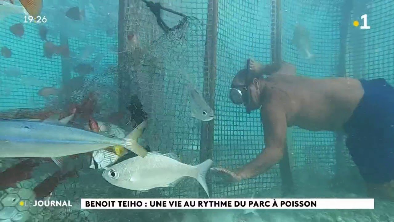Benoît Teiho , maître des parcs à poissons de Tikehau