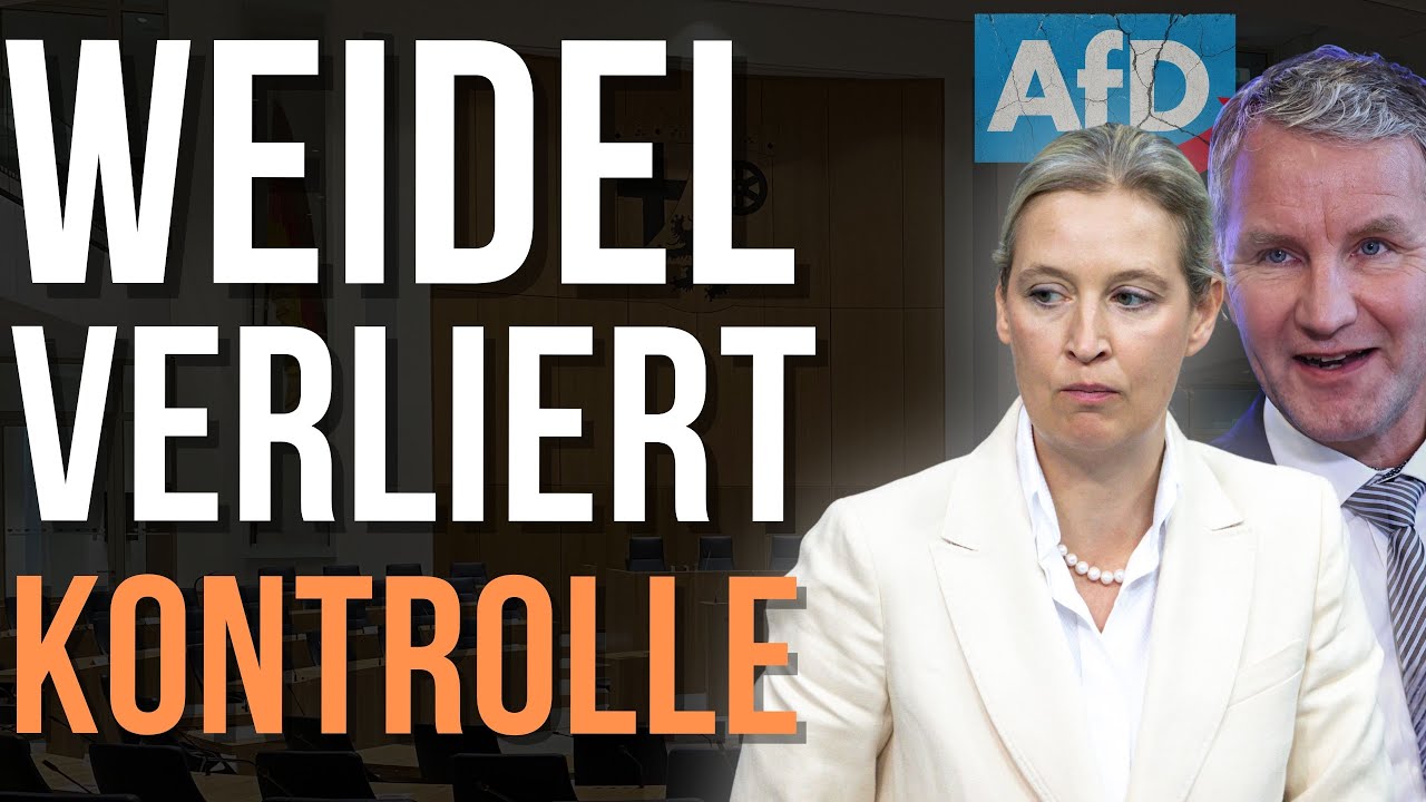 Verliert Weidel die Kontrolle? Der Machtkampf in der AfD wird &uuml;bel