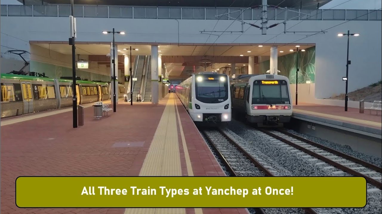 All Three Train Types at Yanchep at Once!
