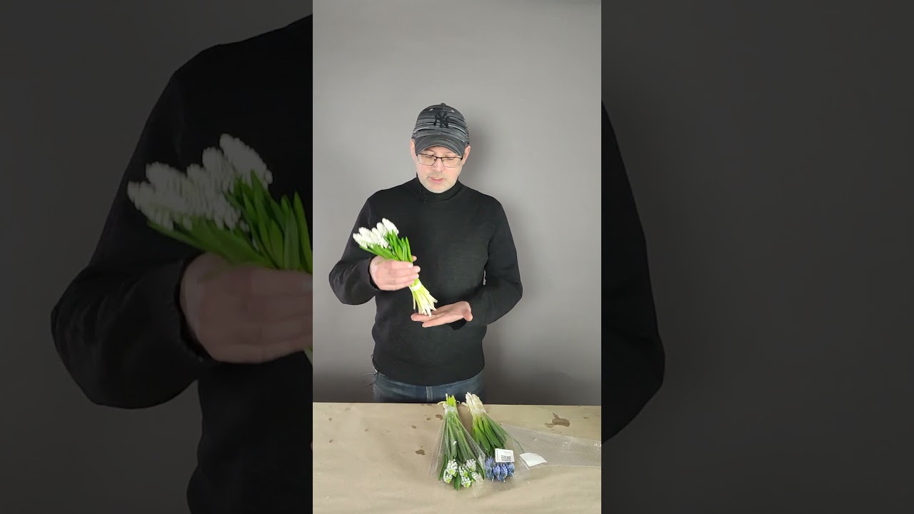 Мускари. Рубрика 