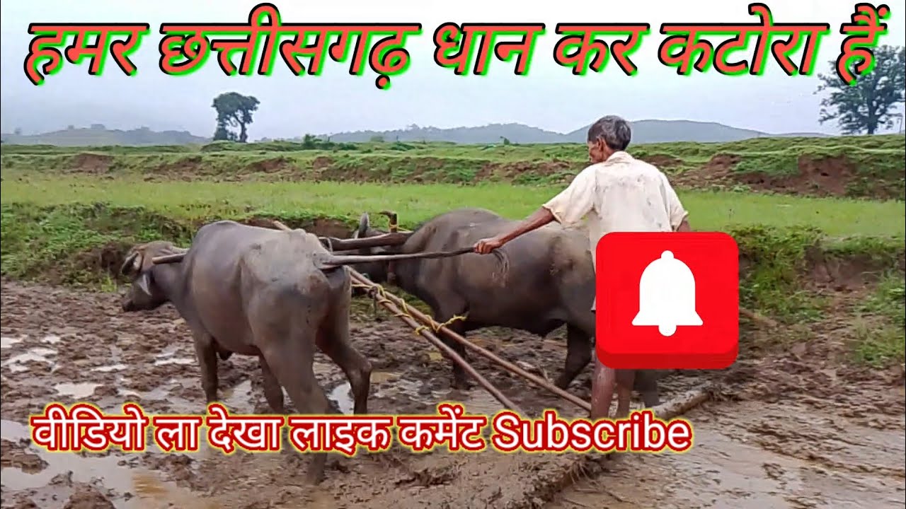prem music prtappur 🙏 खेती किसानी कैसे कर थे ओला आप मन देखा आऊ वीडियो ला 👌 लाइक कमेंट सब्सक्राइब करा
