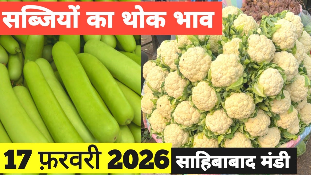 17 February 2026 🥬🫑 🥦 सब्जियों का भाव साहिबाबाद मंडी | today vegitables rates in sahibabad mandi 