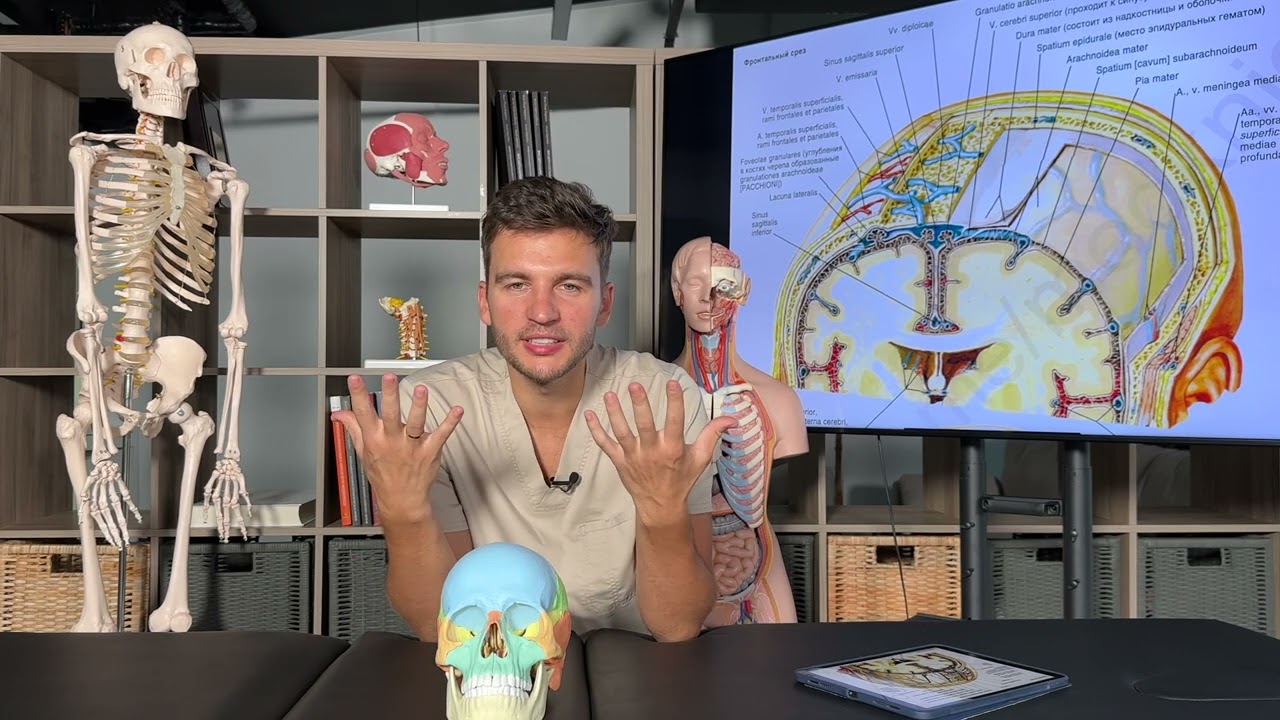 Как ПАЛЬПИРОВАТЬ КОСТИ ЧЕРЕПА?