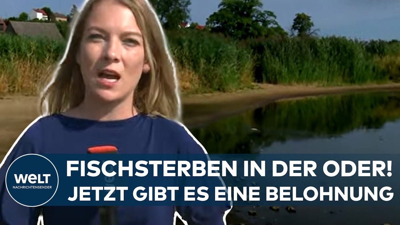 ODER: Fischsterben! 