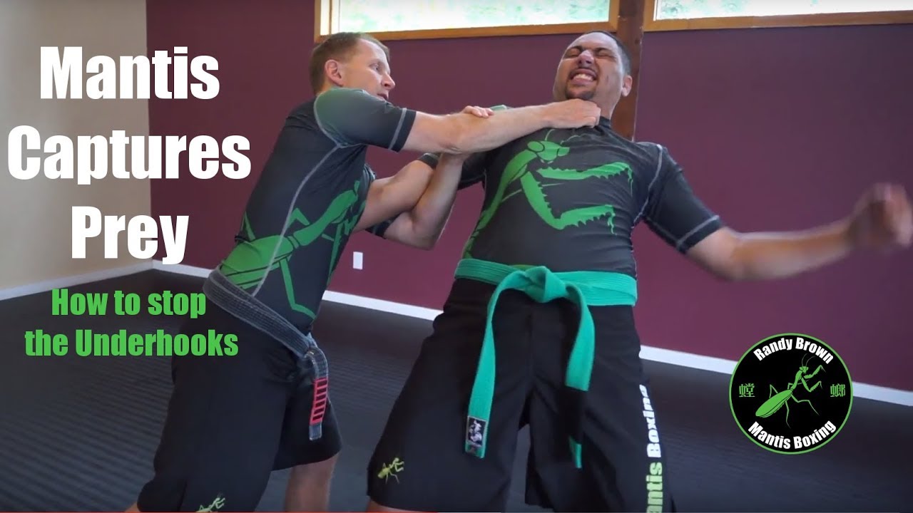 Mantis Captures Prey - How to Stop the Underhooks