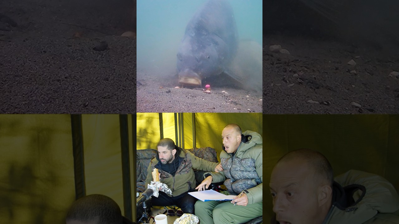 𝗔 𝗠𝗢𝗡𝗦𝗧𝗘𝗥 𝗖𝗔𝗥𝗣‼️🎬ITV4 🤿UNDERWATER Grand Fishing Adventure #carpfishing #carp #fishing