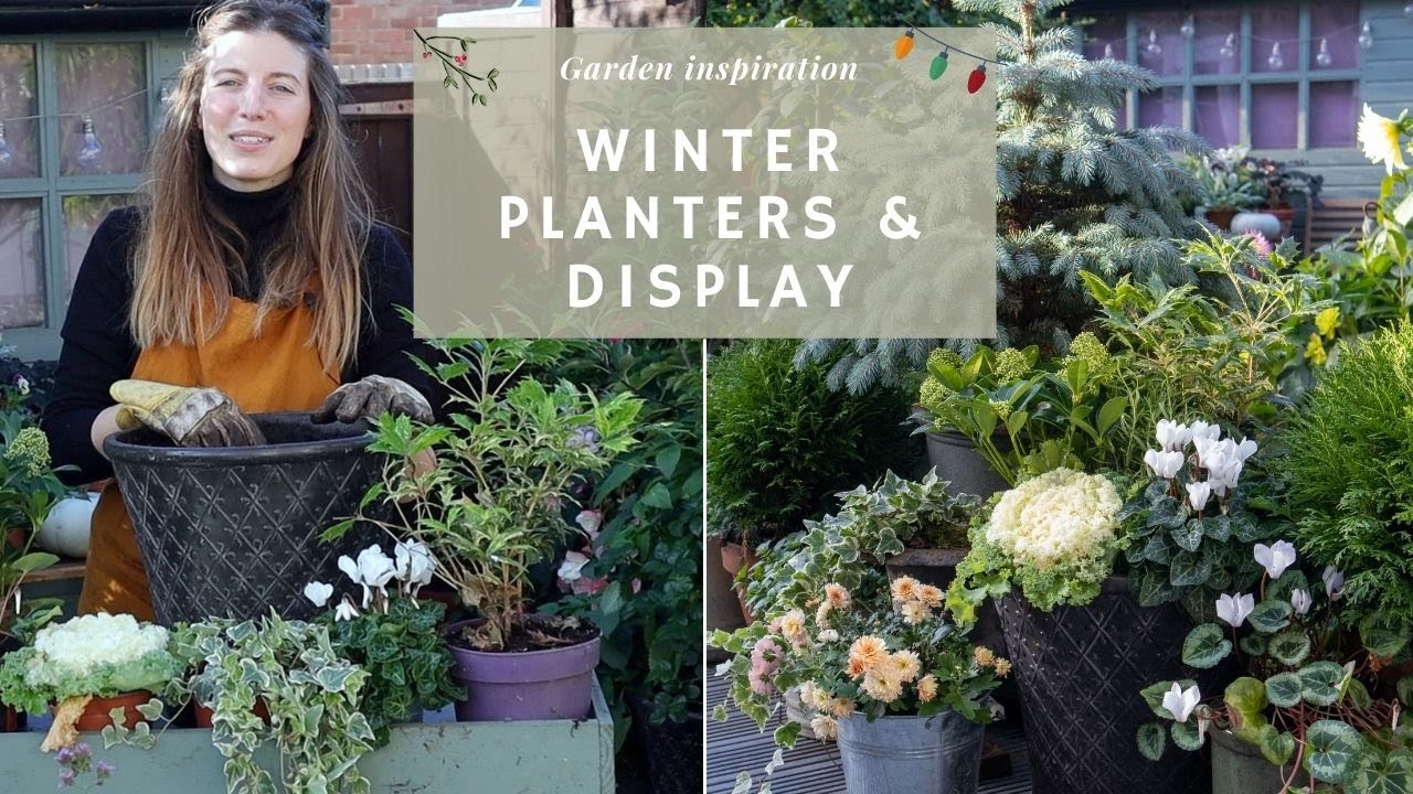 Must Have Winter Plants | Containers Display 🤍 (white & green theme) | Planting For Christmas ❄️🌲