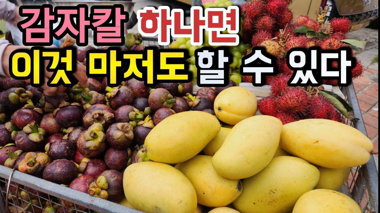 껍질 때문에 못 먹던 열대과일 이렇게 하면 끝! ㅣ열대과일 ㅣ베트남 여행 ㅣ#신쌤의다다육선