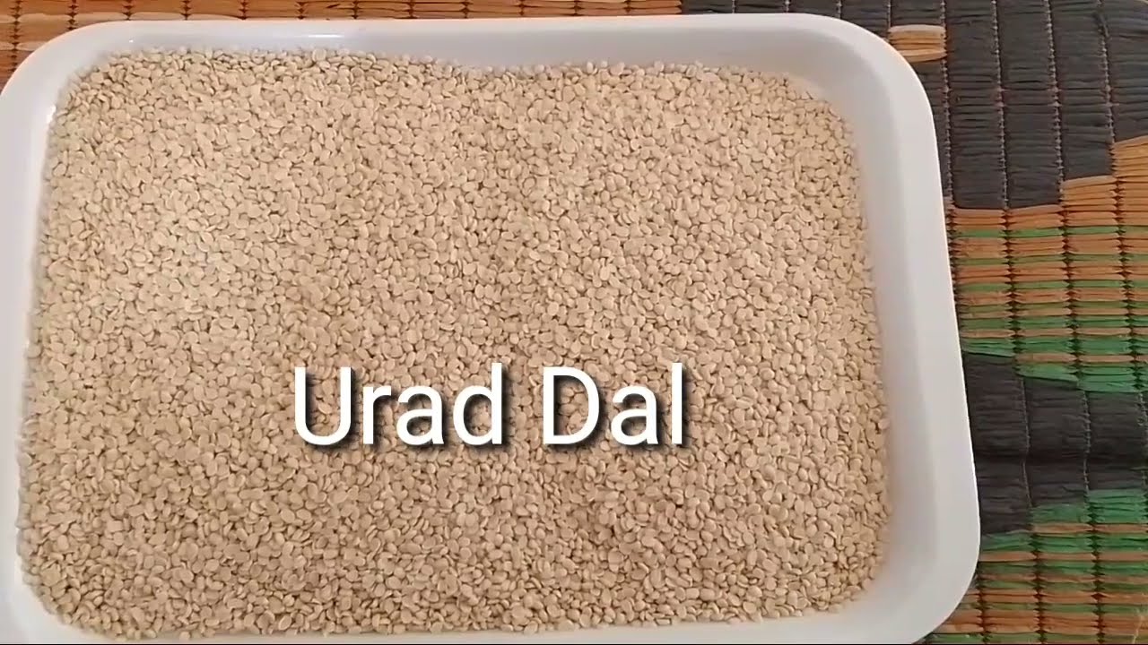 उड़द दाल का होलसेल दाम | Urad Dal wholesale Price | kirana wholesale