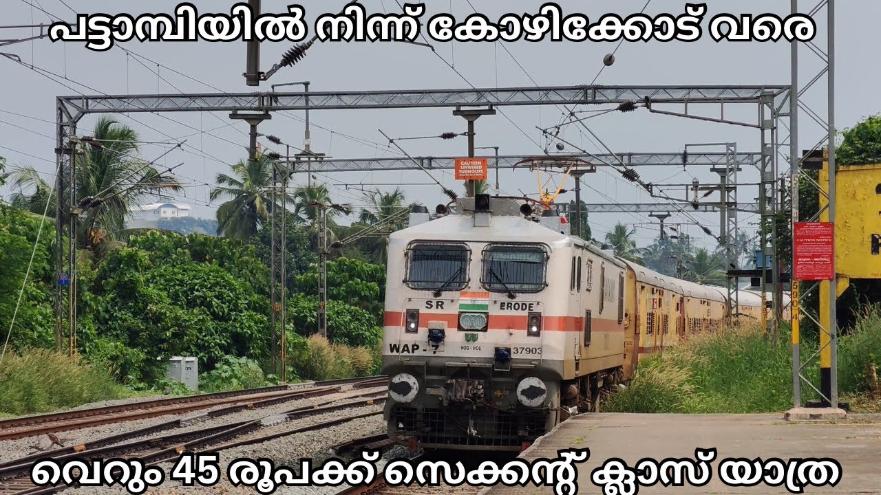 പട്ടാമ്പിയിൽ നിന്ന് കോഴിക്കോട്ടേക്ക് 45 രൂപക്ക് ട്രെയിൻ യാത്ര|Secondclass train|#travelling #video 