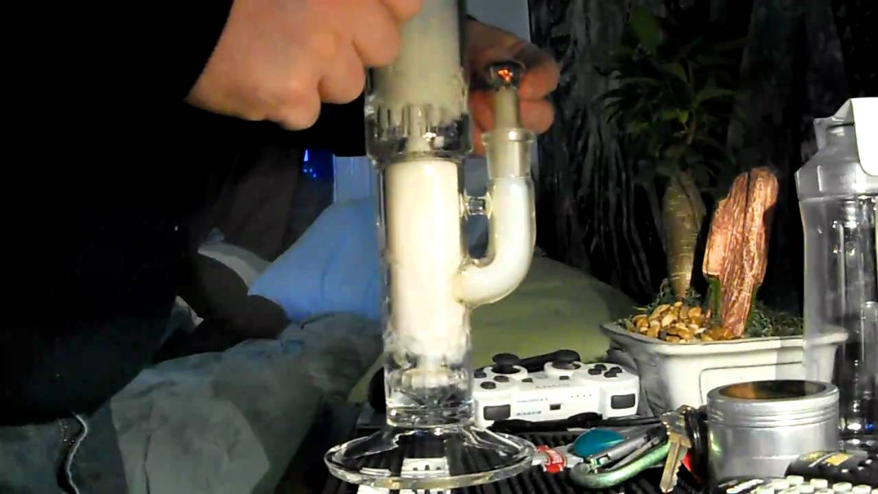 Bong hits Itza glass circ to 8 tree arm perc