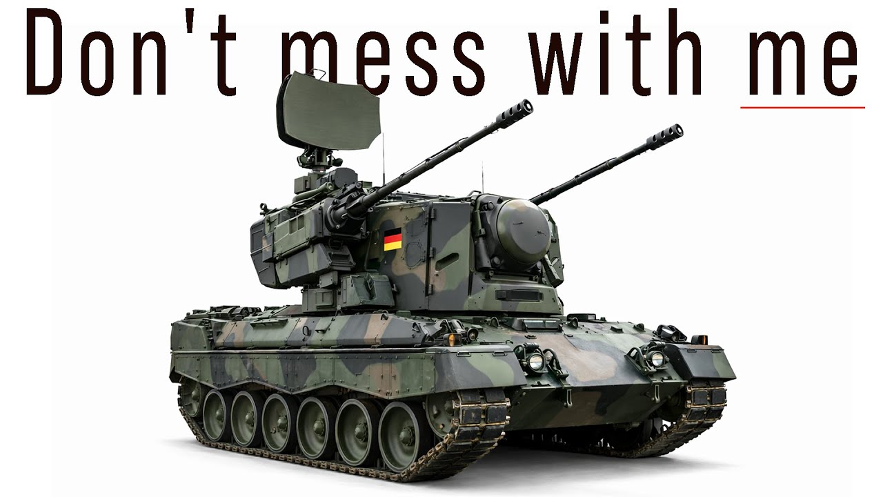 Why You Should Not Mess With The German Gepard - Big Mistake