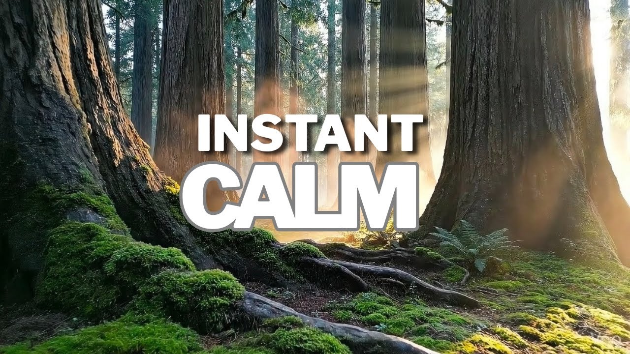 Calm Your Mind: Deep Stillness Forest Visuals + Brown Noise for Anxiety Relief